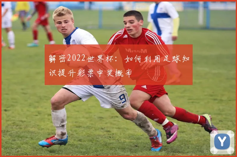 解密2022世界杯：如何利用足球知识提升彩票中奖概率