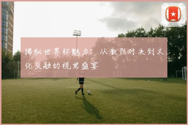 揭秘世界杯魅力：从激烈对决到文化交融的视觉盛宴